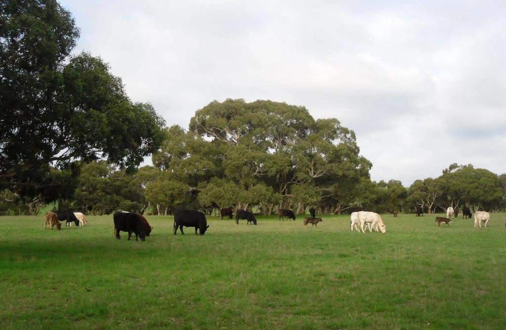 Wenton Farm Holiday Cottages - фото 24