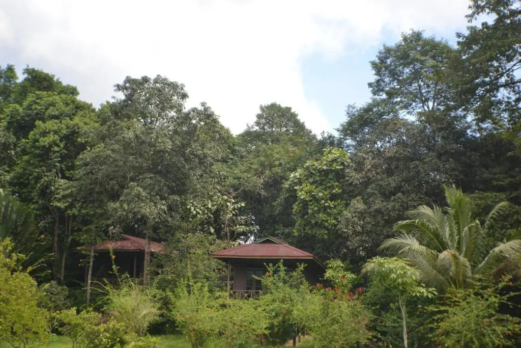 Sepilok Forest Edge Resort - фото 32