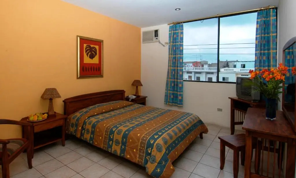Standard Double room (full double bed)