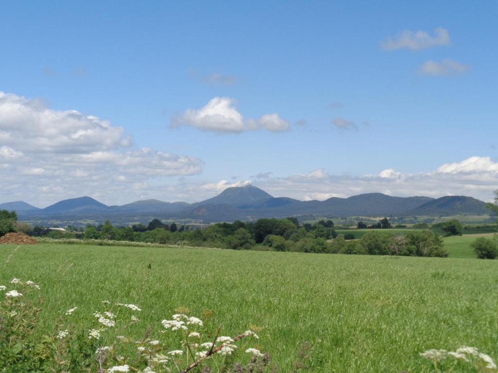 Image 20