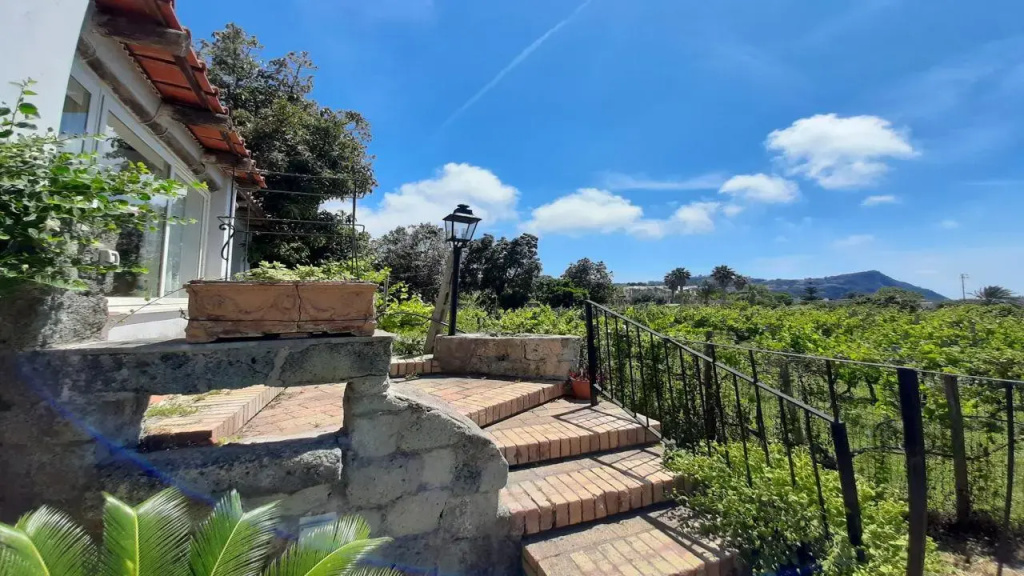 Agriturismo Il Vitigno