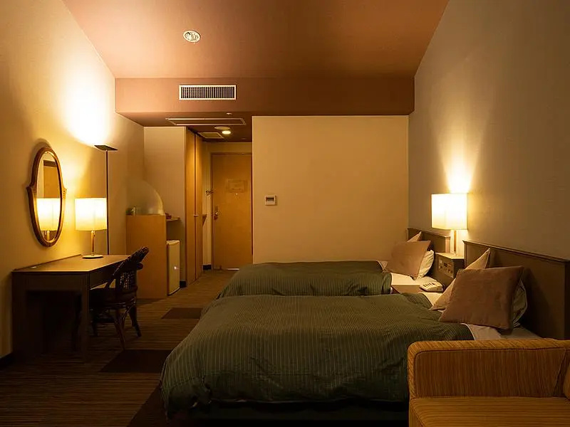 Standard Double room (twin beds)