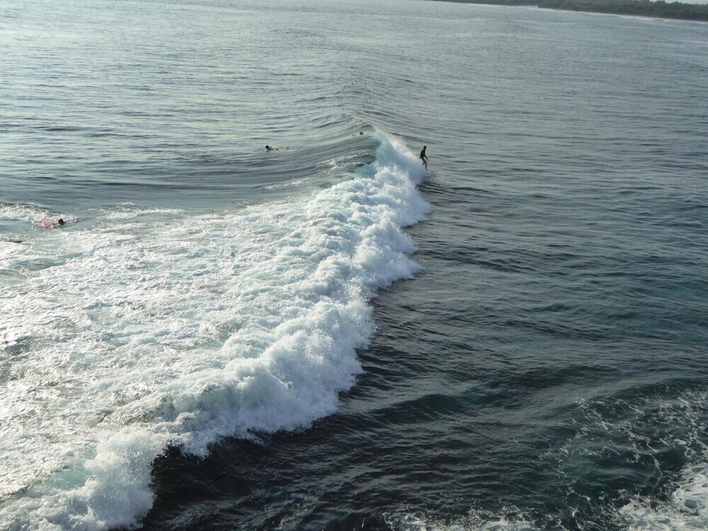 Image 15