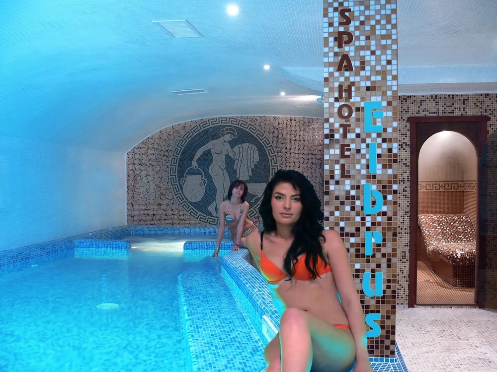 Hotel Elbrus SPA & Wellness - Général