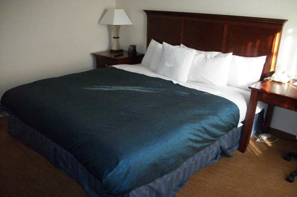 Homewood Suites By Hilton Memphis Poplar - Général