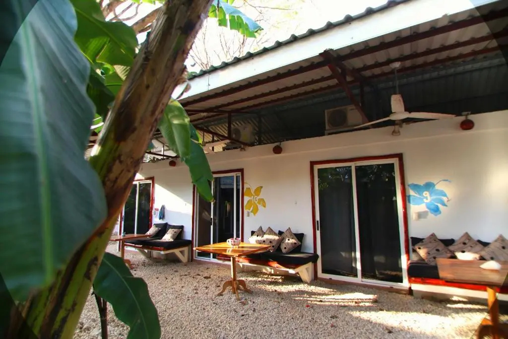 Jungle's Edge: Jiu-Jitsu, Muay Thai & Yoga Retreats - Chambres