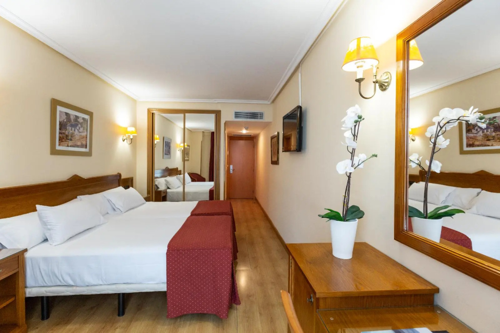 Hotel Ciudad Cangas De Onis - Général