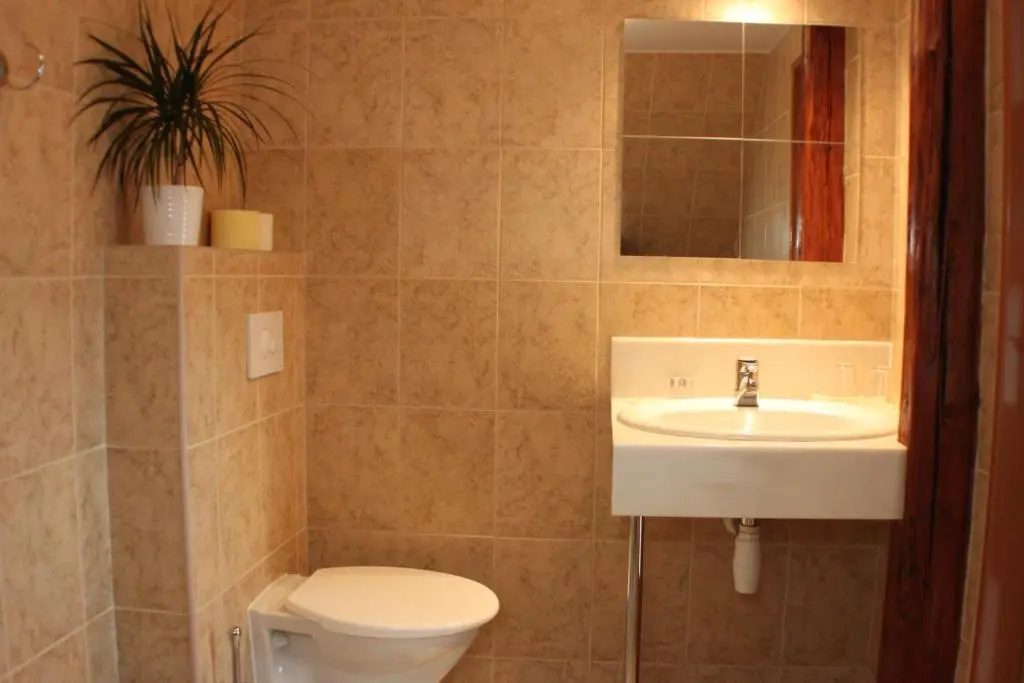 Hotel U Dobrého Lva - Chambres