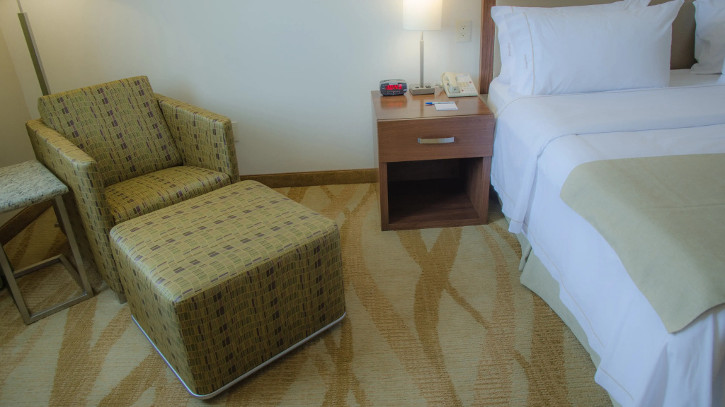 Holiday Inn Express & Suites Celaya by IHG - Général