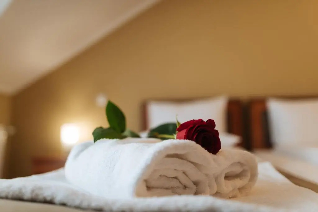 Areo Hotel & Restaurant - Chambres