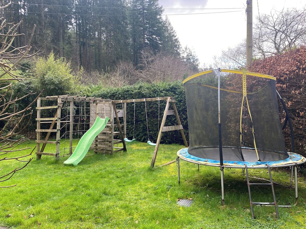 Lost In The Woods Lodge