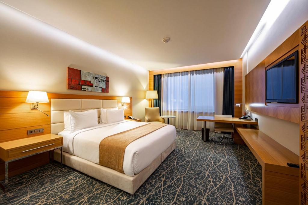 Двухместный номер Standard двуспальная кровать в Holiday İnn