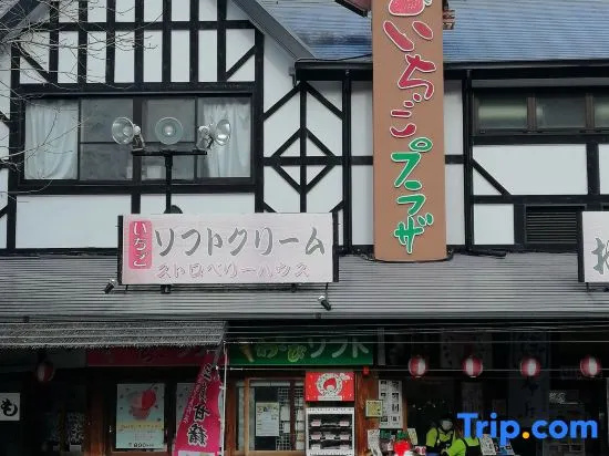 Hamayuu