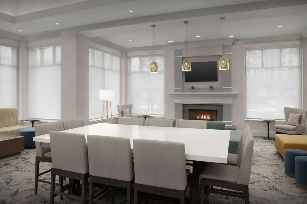 Hilton Garden Inn Atlanta North/Johns Creek - Général
