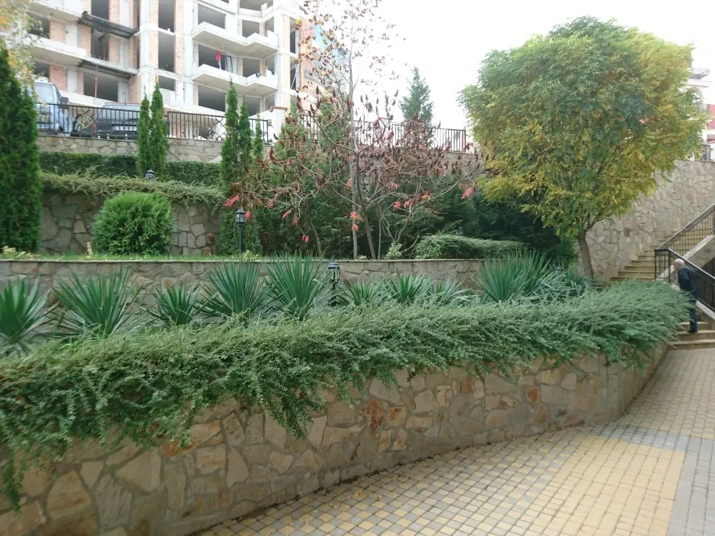 Image 12