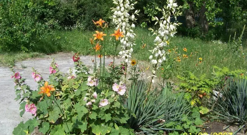 Aqua Termál Camping, Vendégházak - фото 4