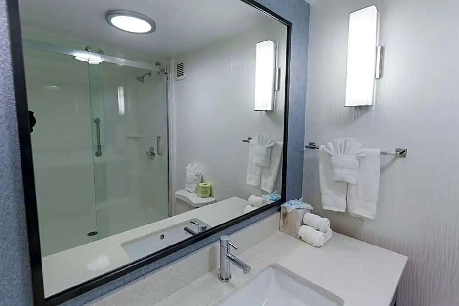 Hilton Garden Inn Atlanta Northpoint - Chambres