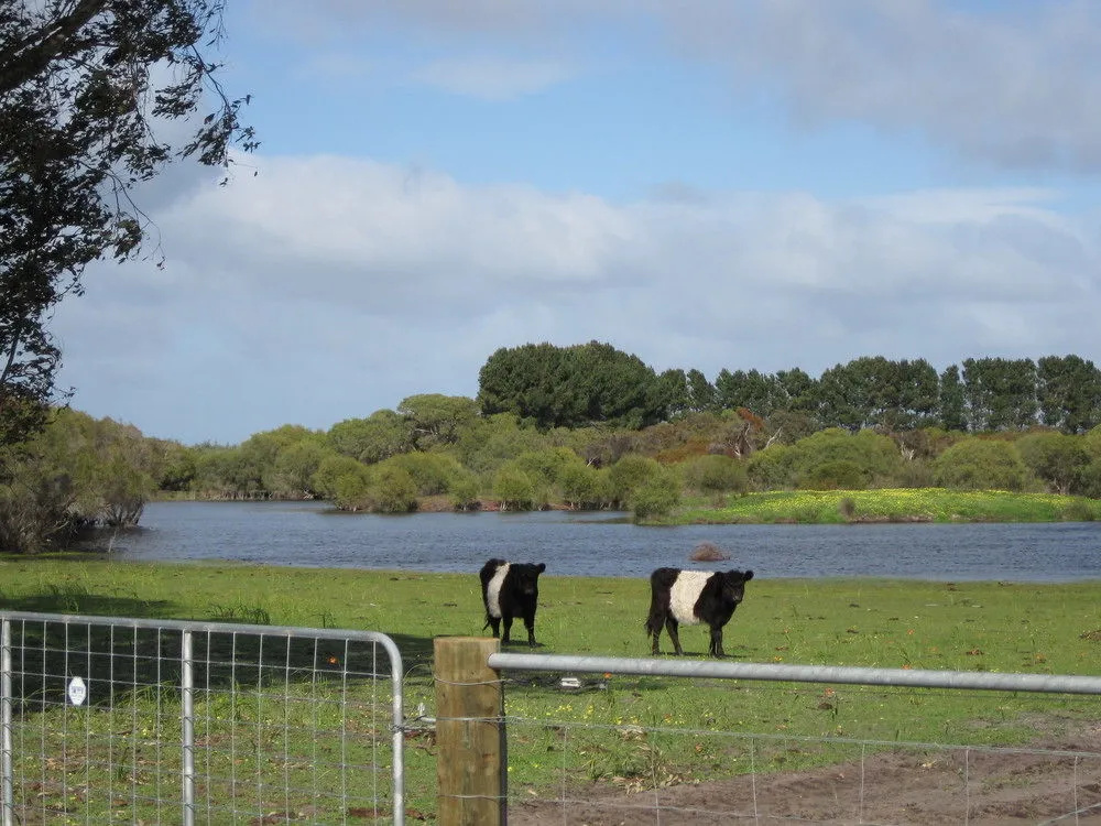 Sandy Lake Farm - Bed & Breakfast