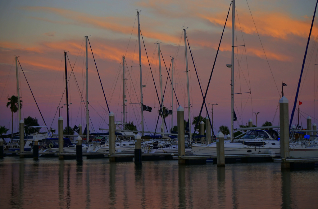 Holiday Inn Corpus Christi Downtown Marina by IHG - Général