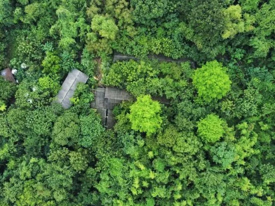 Shangdao Homestay