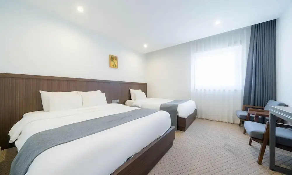 Deluxe Double room (twin beds)