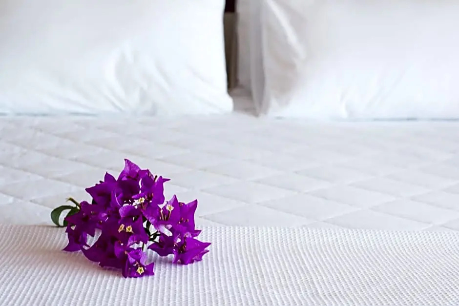 Ilha Branca Exclusive Hotel - Chambres