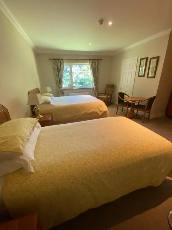 Deluxe Double room (full double bed)