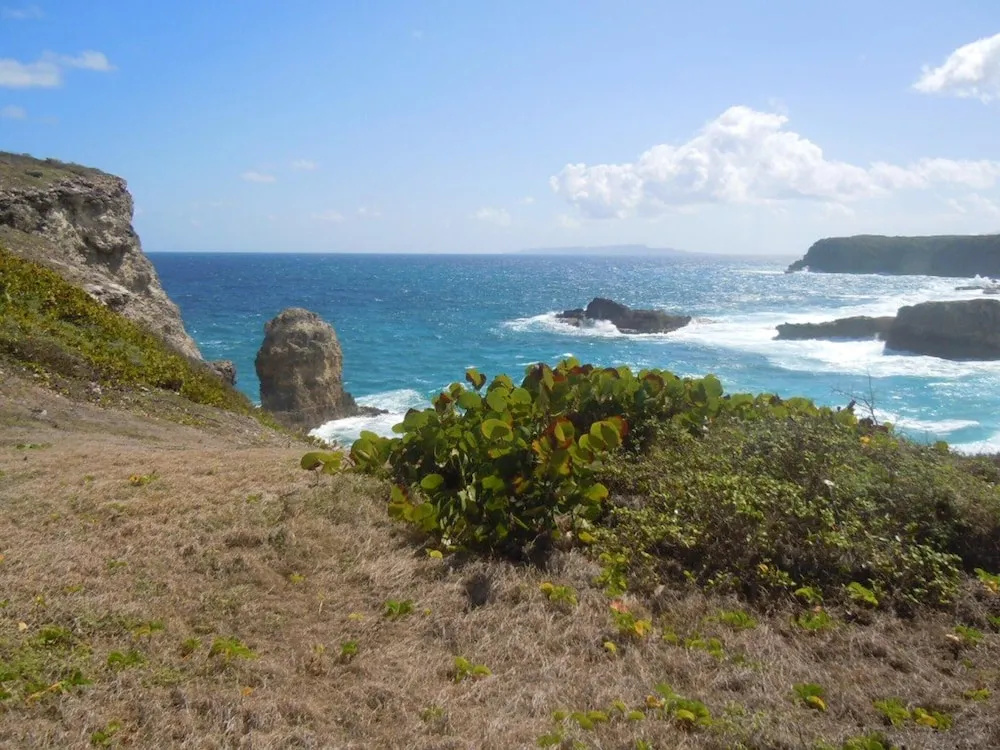 House With 2 Bedrooms In Le Moule With Wonderful Sea View And Enclosed Garden 300 M From The Beach
