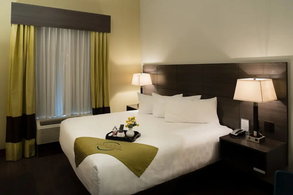 Malana Hotels & Suites - Général