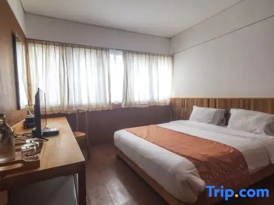 Deluxe Double room (full double bed)