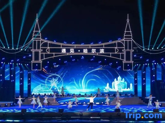 Harbin Sun Island Garden Hotel - Général