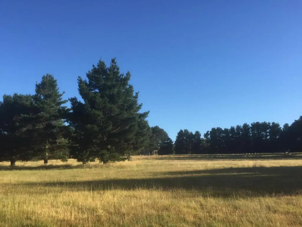Helen's Homestead