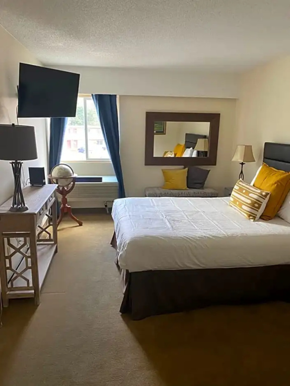 1 Bedroom Apartment