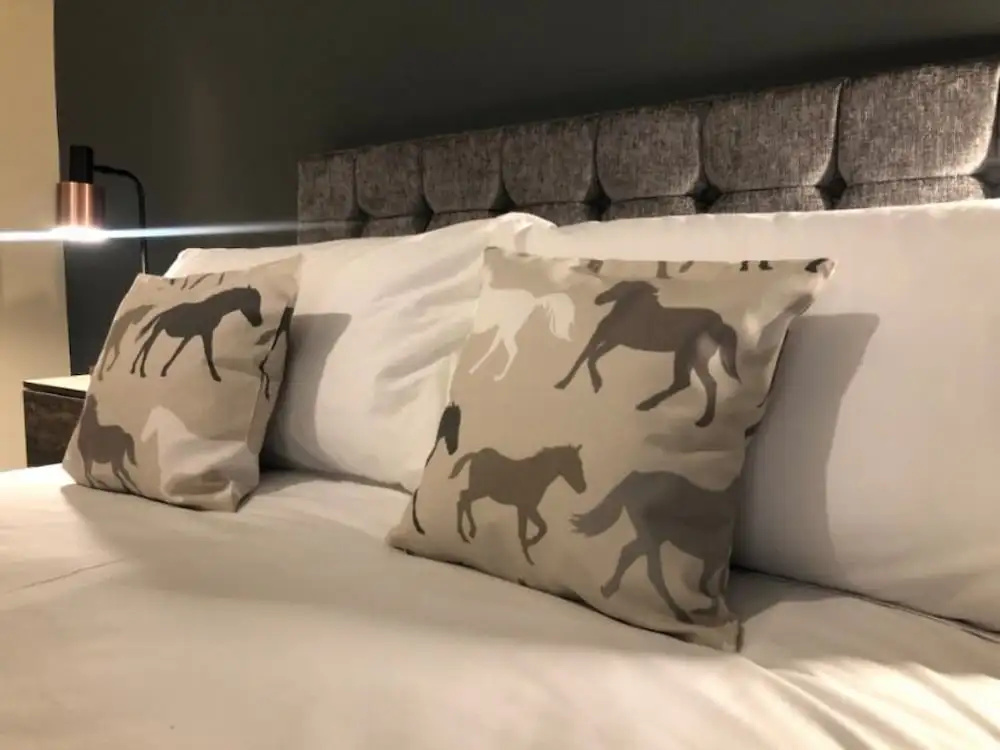 Superior Double room (full double bed)