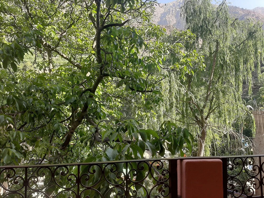 The Best Apartments of Ourika valley