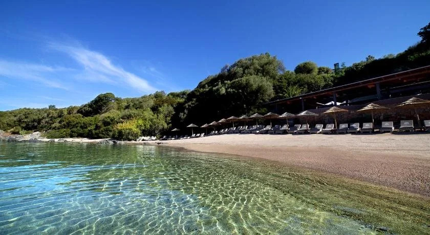 Beach & Waterfront