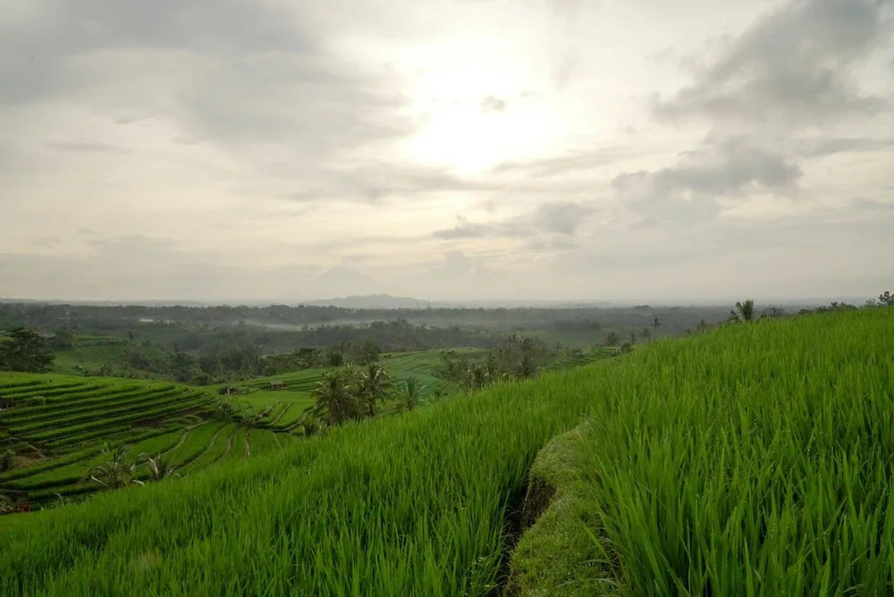 Dukuh Baturan Villa