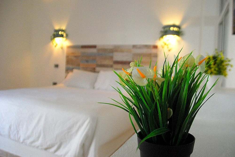 Hotel Playa Catalina - Chambres