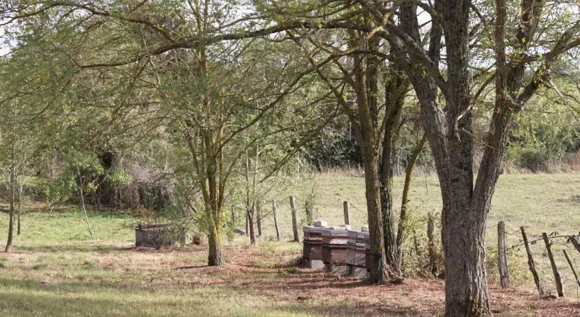Voir la photo 2 — Gite de la Maison Fort