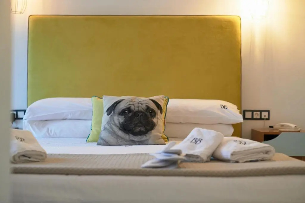 Blue Bottle Boutique Hotel - Chambres