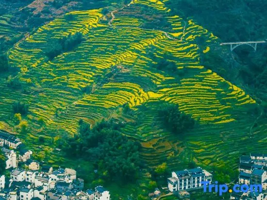 Huahai Shanyu PANORAMA·FLOWERS 270° Scenic Autumn Sun Design Boutique Stay (Huangling Scenic Area)