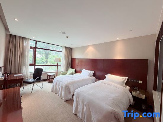 Standard room with view