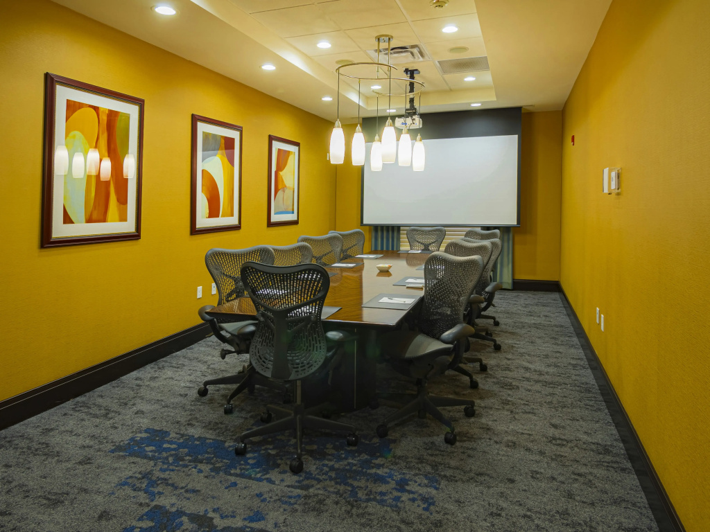 Hilton Garden Inn Atlanta South/McDonough - Général