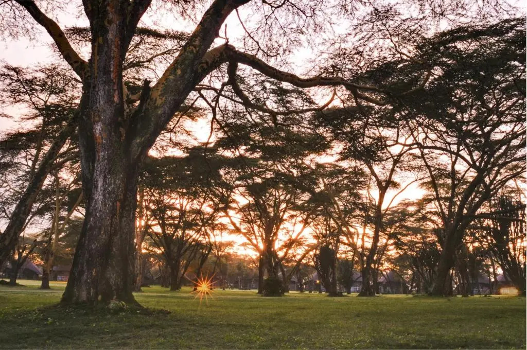 Lake Naivasha Sopa Resort