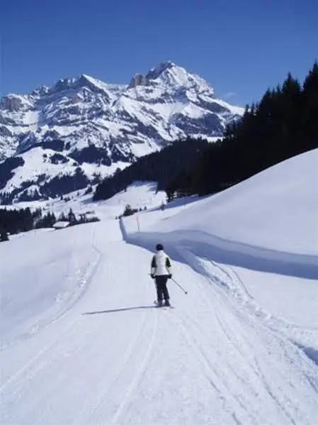 Des Alpes - Général