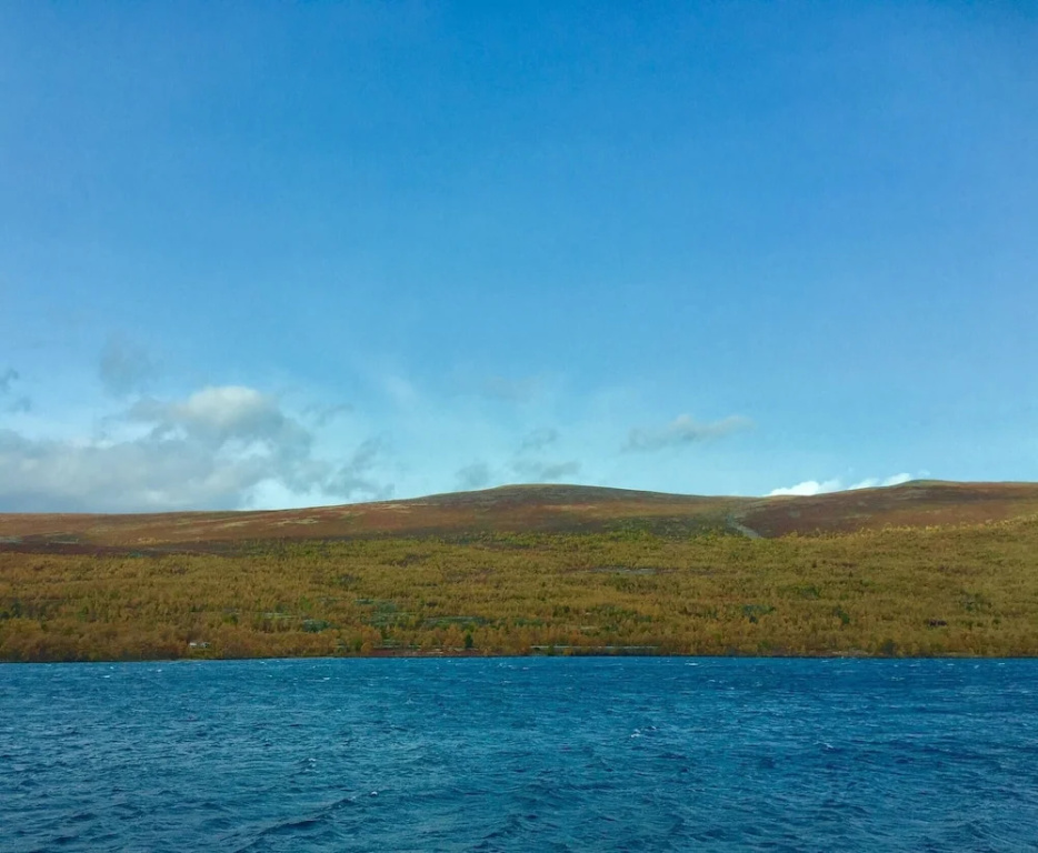 Live in the Realm of the Musk Oxen on Dovrefjell