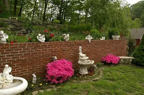 Image 31