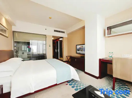 Standard Double room with city view (full double bed)