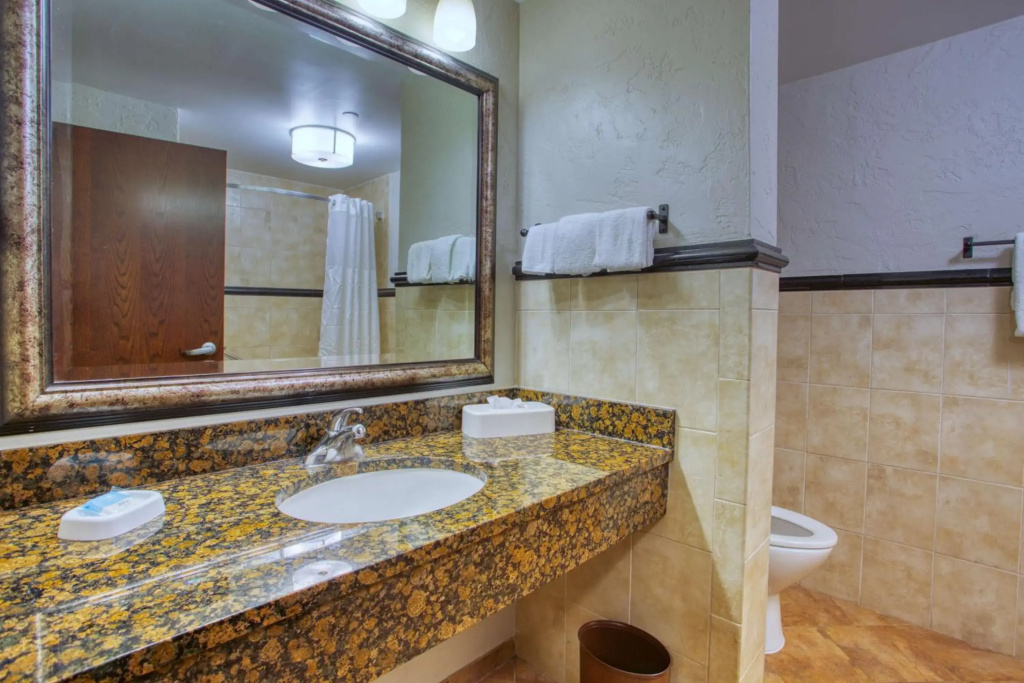 Drury Inn & Suites Near La Cantera Parkway - Général