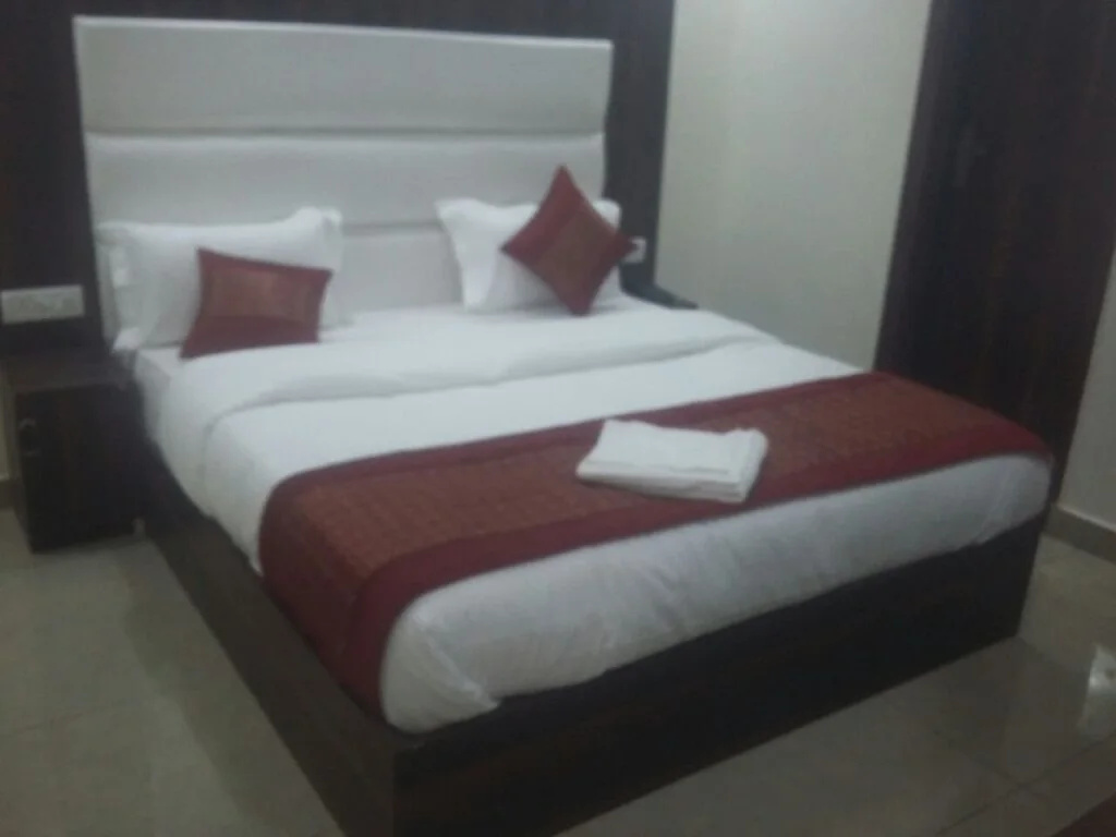 OYO 11505 Hotel Classic Park